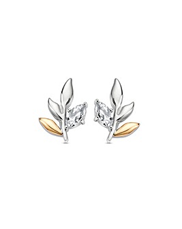 Royal Clogau Sterling Silver Leaf Stud Earrings with Topaz