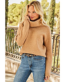 Sosandar Roll Neck Super Soft Knitted Jumper