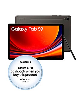 Samsung Galaxy Tab S9 11in 256GB Wi-Fi Tablet - Grey