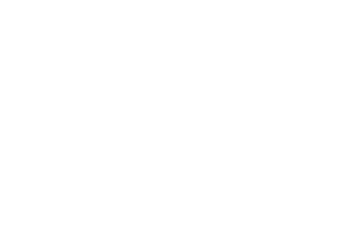 Home Price Crash