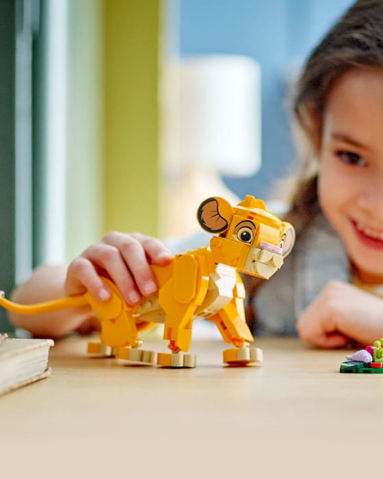 Shop toys
